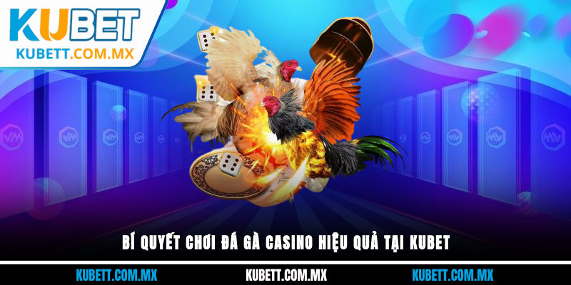 Bí quyết chơi đá gà casino hiệu quả tại Kubet