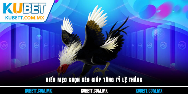 Hiểu mẹo chọn kèo giúp tăng tỷ lệ thắng