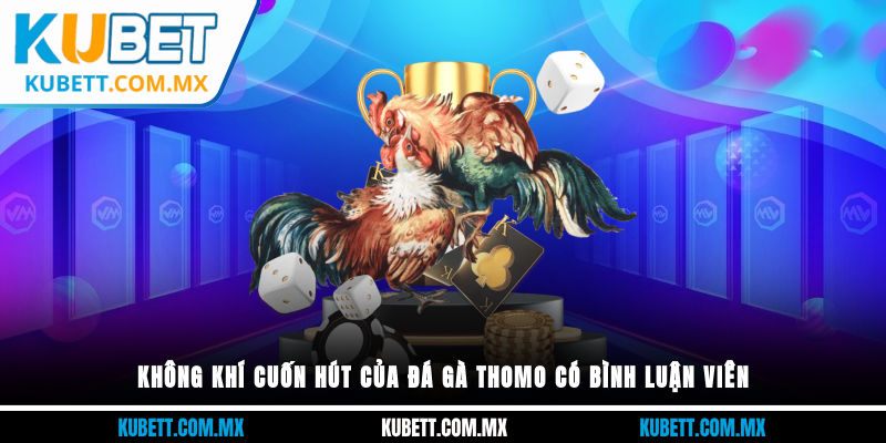 Không khí cuốn hút của đá gà thomo có bình luận viên