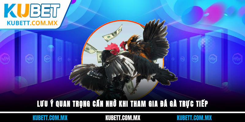 Lưu ý quan trọng cần nhớ khi tham gia đá gà trực tiếp