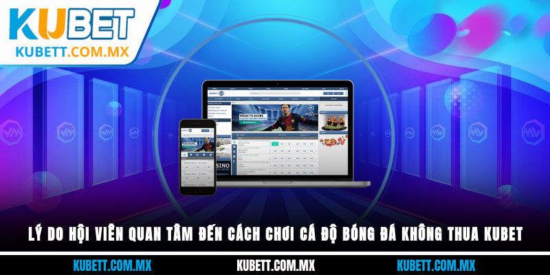 Lý do hội viên quan tâm đến cách chơi cá độ bóng đá không thua Kubet