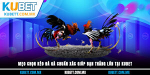 mẹo chọn kèo đá gà