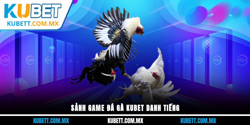 Sảnh game đá gà KUBET danh tiếng