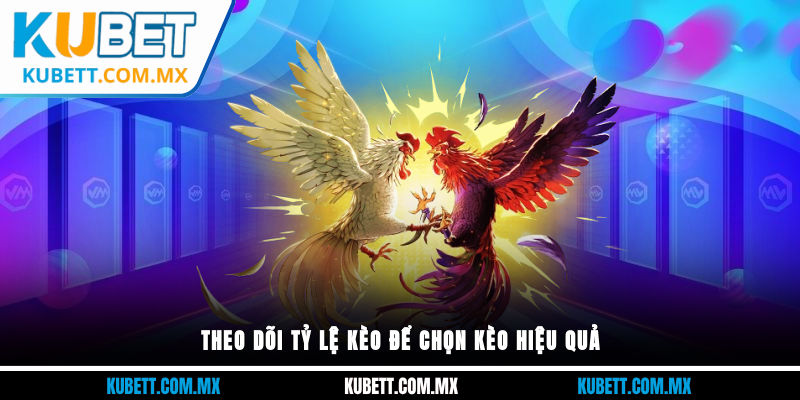 Theo dõi tỷ lệ kèo để chọn kèo hiệu quả