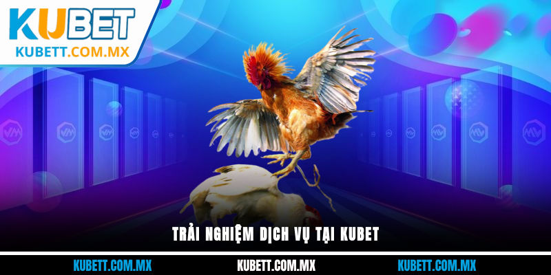 Trải nghiệm dịch vụ tại Kubet