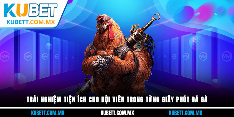 Trải nghiệm tiện ích cho hội viên trong từng giây phút đá gà