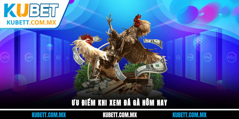 Ưu điểm khi xem đá gà hôm nay