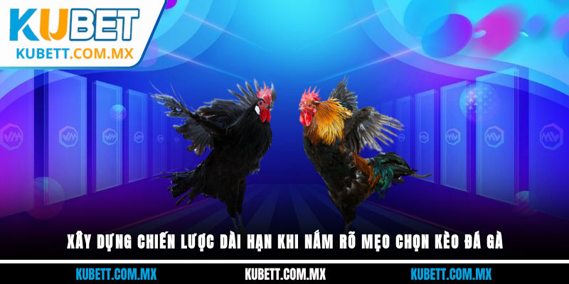 Xây dựng chiến lược dài hạn khi nắm rõ mẹo chọn kèo đá gà